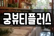 궁뷰티플러스