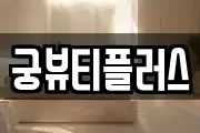 궁뷰티플러스