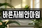 바른자세안마원
