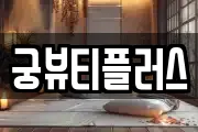 궁뷰티플러스
