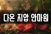 다온 지압 안마원