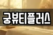 궁뷰티플러스