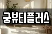 궁뷰티플러스