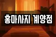 인천 계양구 서운동 마사지, 지압등 업체정보