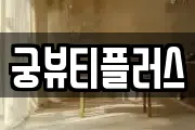 궁뷰티플러스