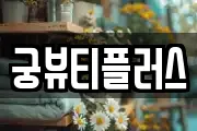 궁뷰티플러스