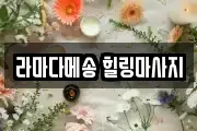 인천 남동구 논현동 마사지, 지압등 업체정보