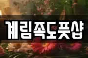 계림족도풋샵