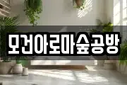 모건아로마숲공방