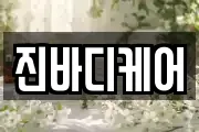 진바디케어