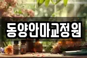 동양안마교정원