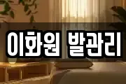 이화원 발관리