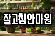 잘고침안마원