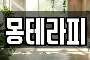 몽테라피