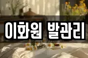 이화원 발관리