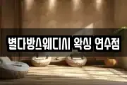 별다방스웨디시 왁싱 연수점