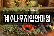 인천 부평구 부개동 마사지, 지압등 업체정보