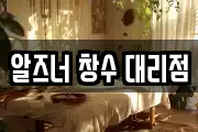 알즈너 창수 대리점