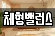 체형밸런스