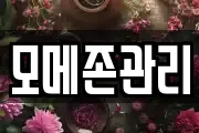 모메존관리