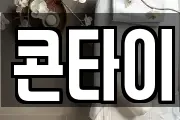 콘타이