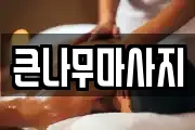 큰나무마사지