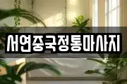 서연중국정통마사지