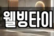 웰빙타이