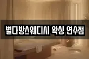 별다방스웨디시 왁싱 연수점
