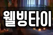 웰빙타이