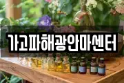 가고파해광안마센터