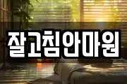 잘고침안마원