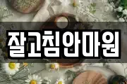잘고침안마원