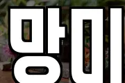 망미