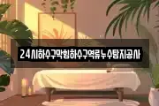 24시하수구막힘하수구역류누수탐지공사