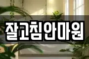 잘고침안마원