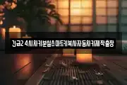 긴급24시차키분실스마트키복사자동차키제작출장
