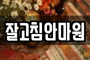 잘고침안마원