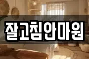 잘고침안마원