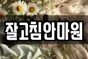 잘고침안마원