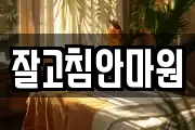 잘고침안마원