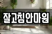 잘고침안마원