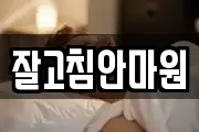 잘고침안마원