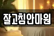 잘고침안마원