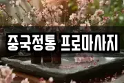 중국정통 프로마사지