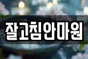 잘고침안마원