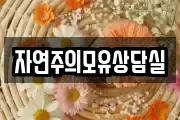 전남 강진군 군동면 마사지, 지압등 업체정보