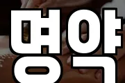 전남 고흥군 과역면 마사지, 지압등 업체정보