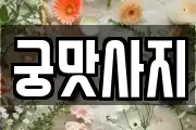 궁맛사지