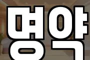 전남 고흥군 남양면 마사지, 지압등 업체정보